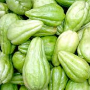 Chayote Squash / Iskut