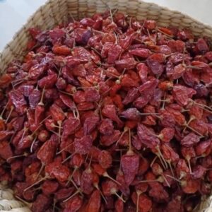 Dried King Chilly / Dried Bhut Jolokia