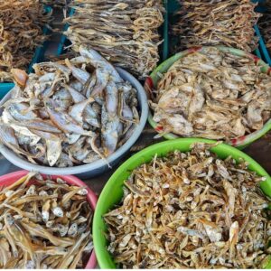 Dry Fish