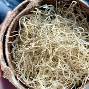 Louthul Jung / Edible Flower Shoots