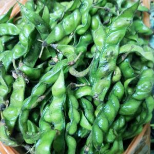 Mayongbi Beans / Flat Beans