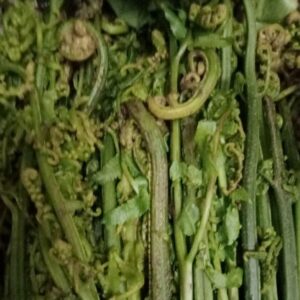 Ningkaru / Lukhoibi / Local Leaf Vegetable