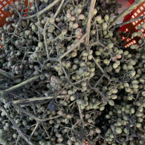 Stick Pepper / Ngeuchi